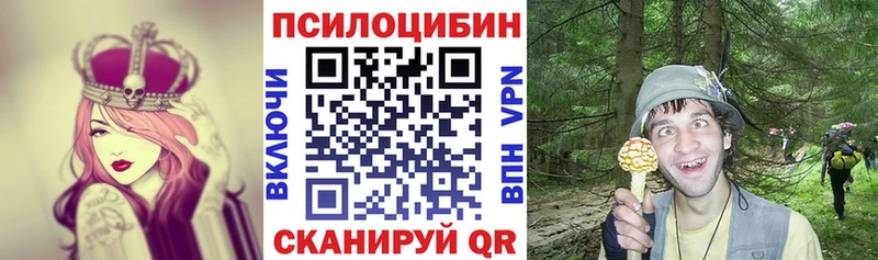Псилоцибиновые грибы Psilocybe  закладка  Сибай 