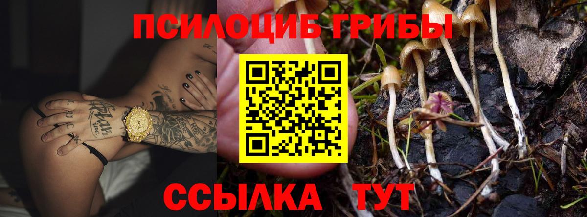 Псилоцибиновые грибы Psilocybine cubensis Сибай