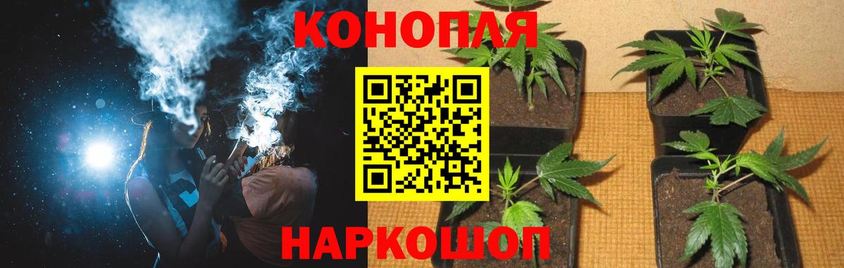 Конопля конопля  Вход с VPN  МАРИХУАНА план  Сибай 